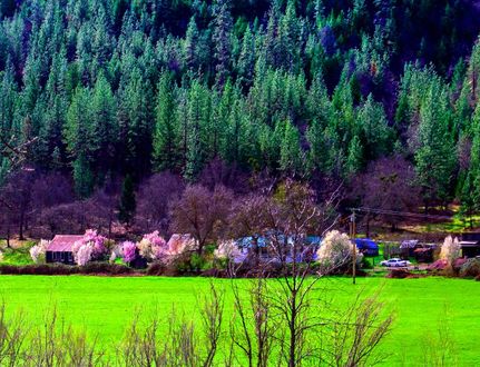 Undeveloped Land for sale in Siskiyou County, California