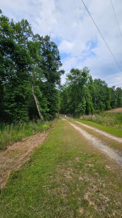 Timberland Property for sale in Covington County, Alabama