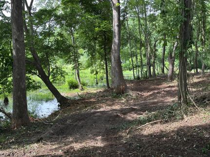 Property in Marion County, South Carolina