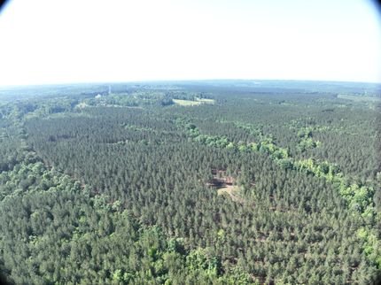 Hunting Land for sale in Moore County, North Carolina