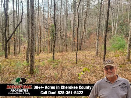 Property in Cherokee County, North Carolina