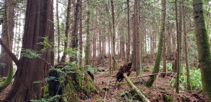 Undeveloped Land for sale in Kitsap County, Washington