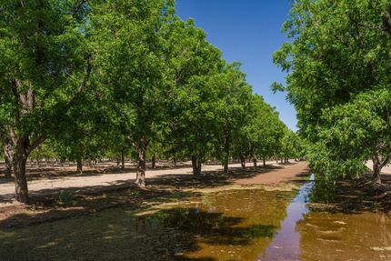 Farm Property for sale in Culberson County, Texas