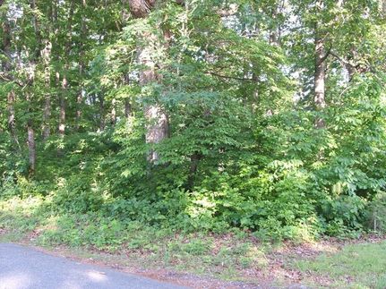 Property for sale in Charlotte County, Virginia