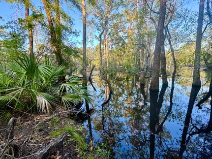 Property for sale in Atkinson County, Georgia