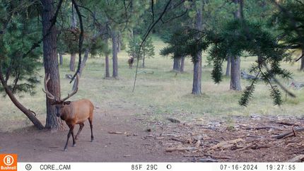 Property in Union County, Oregon