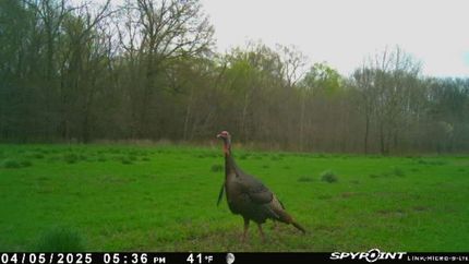 Property in Vernon County, Missouri