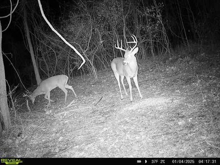 Property in Crawford County, Kansas