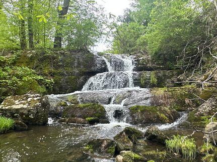 Undeveloped Land for sale in Greene County, New York