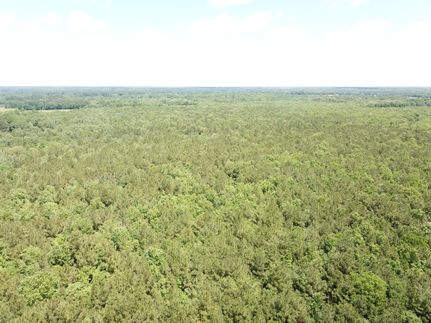 Timberland Property for sale in Bowie County, Texas