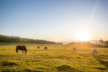 Commercial Property for sale in Grand County, Colorado