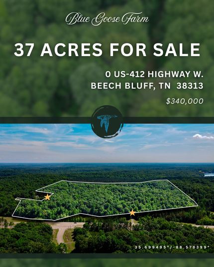 Property for sale in Henderson County, Tennessee