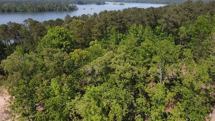 Recreational Property for sale in Lincoln County, Georgia