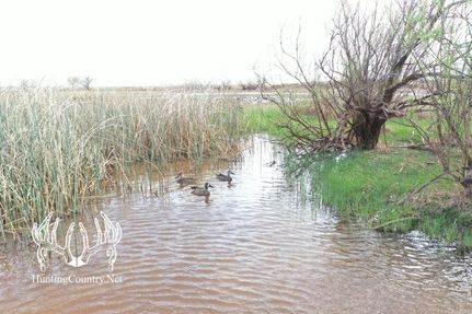 Farm Property for sale in Barber County, Kansas