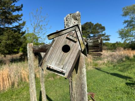 Property in Richland County, South Carolina