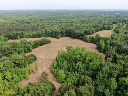 Hunting Land for sale in Tate County, Mississippi