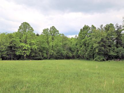 Property for sale in Floyd County, Virginia