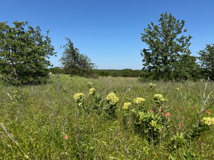 Hunting Land for sale in Carter County, Oklahoma