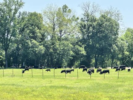 Property for sale in Catahoula Parish, Louisiana