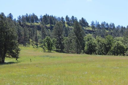 Horse Property for sale in Crook County, Wyoming