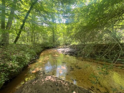 Undeveloped Land for sale in Dale County, Alabama