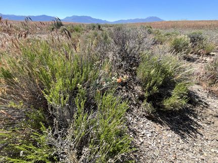 Property in Elko County, Nevada