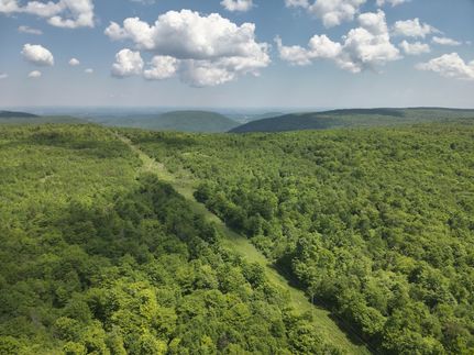 Undeveloped Land for sale in Sullivan County, Pennsylvania