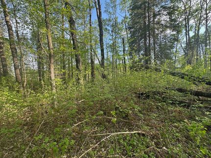 Property in Cass County, Minnesota