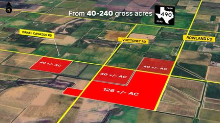 Property for sale in Hidalgo County, Texas