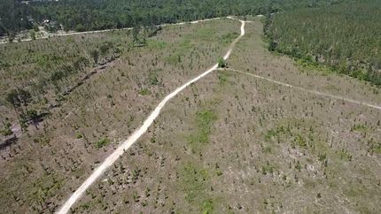 Hunting Land for sale in Kershaw County, South Carolina