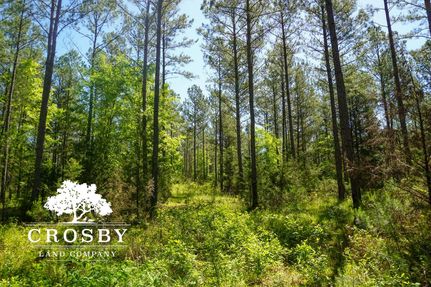 Property in McCormick County, South Carolina