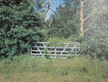 Property for sale in Grayson County, Texas