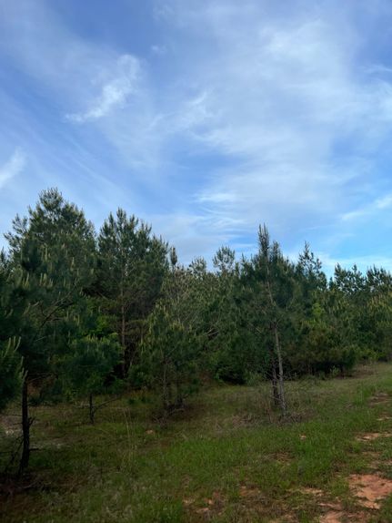 Property for sale in Clarke County, Mississippi