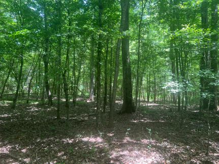 Property for sale in Wayne County, Mississippi