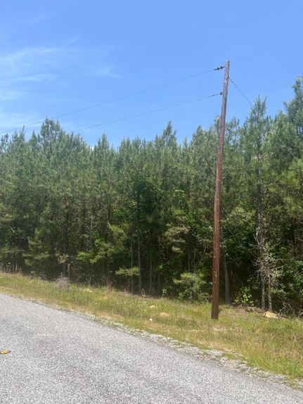 Hunting Land for sale in Wayne County, Mississippi