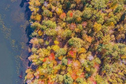 Undeveloped Land for sale in Morrison County, Minnesota