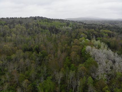 Undeveloped Land for sale in Waldo County, Maine