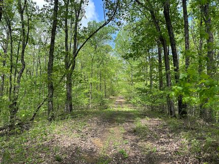 Property for sale in Wayne County, West Virginia