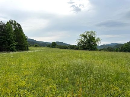 Property for sale in Sevier County, Tennessee