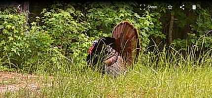 Property for sale in Jasper County, Mississippi