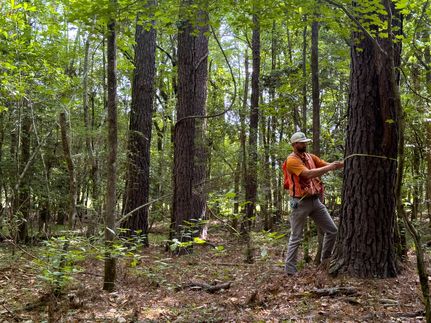 Property in Bleckley County, Georgia