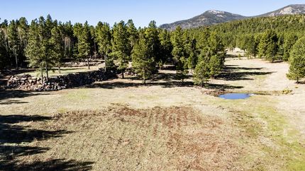 Property for sale in Colfax County, New Mexico