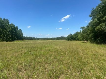 Undeveloped Land for sale in Screven County, Georgia