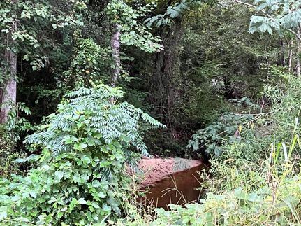 Timberland Property for sale in Marengo County, Alabama