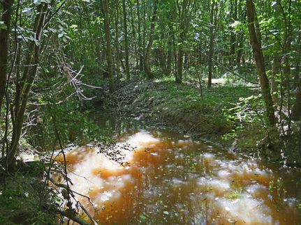 Property for sale in Lamar County, Texas