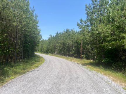 Undeveloped Land for sale in Wayne County, Mississippi