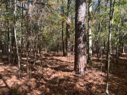 Property for sale in Wayne County, Mississippi