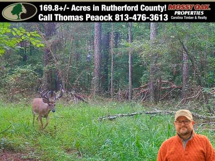 Farm Property for sale in Rutherford County, North Carolina