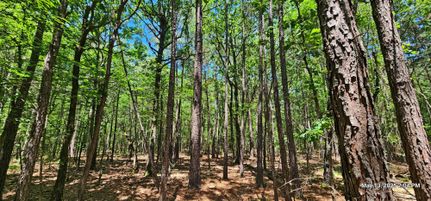 Property for sale in Red River County, Texas