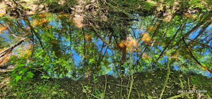 Property for sale in Red River County, Texas